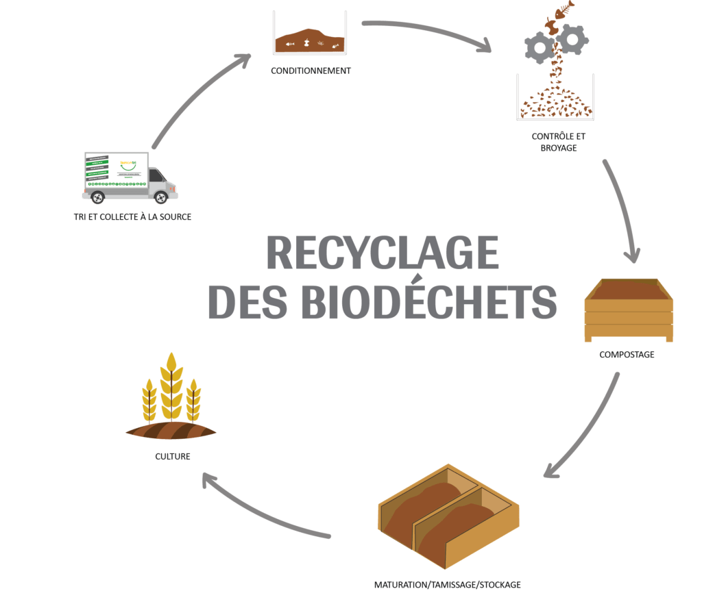 Broyage de déchets organiques pour compost