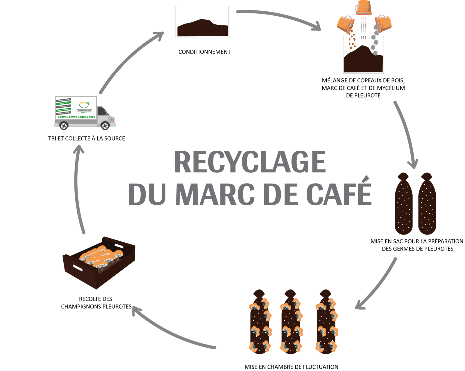 Recyclage marc de café d'entreprise - Cèdre