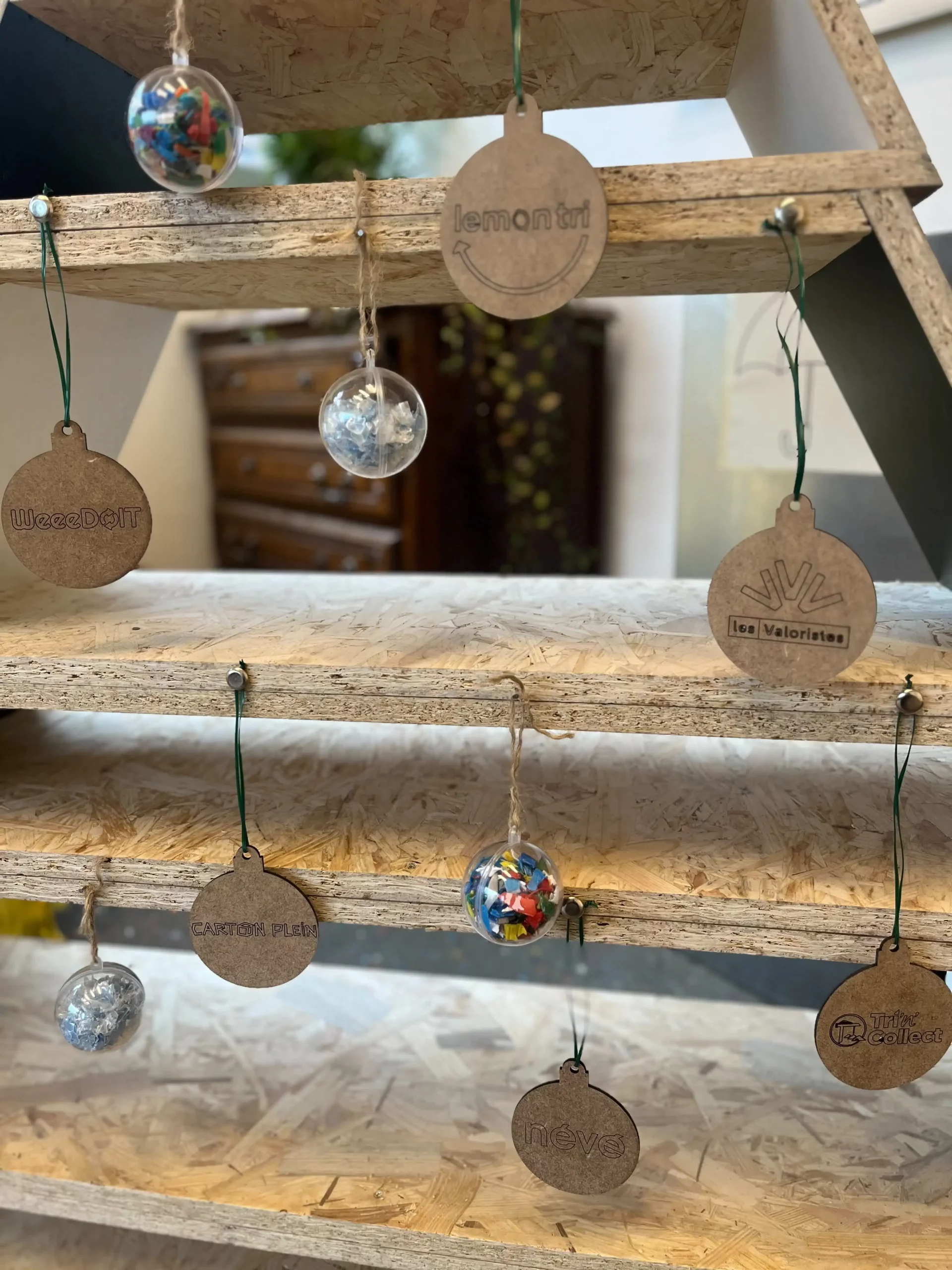 Sapin du Cartier Circulaire