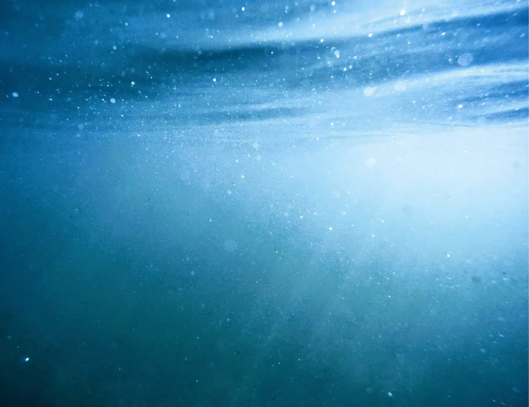 Acidification des océans